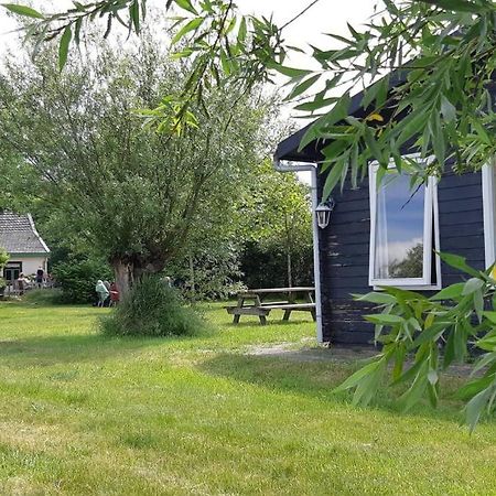 Chalet Egmond Egmond aan den Hoef Eksteriør bilde
