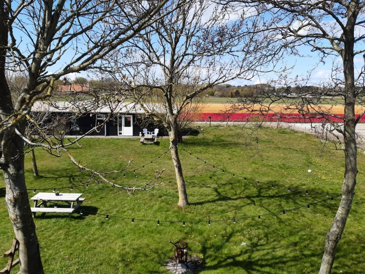 Chalet Egmond Egmond aan den Hoef Eksteriør bilde