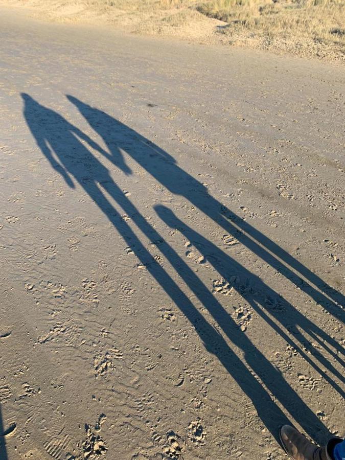 Chalet Egmond Egmond aan den Hoef Eksteriør bilde