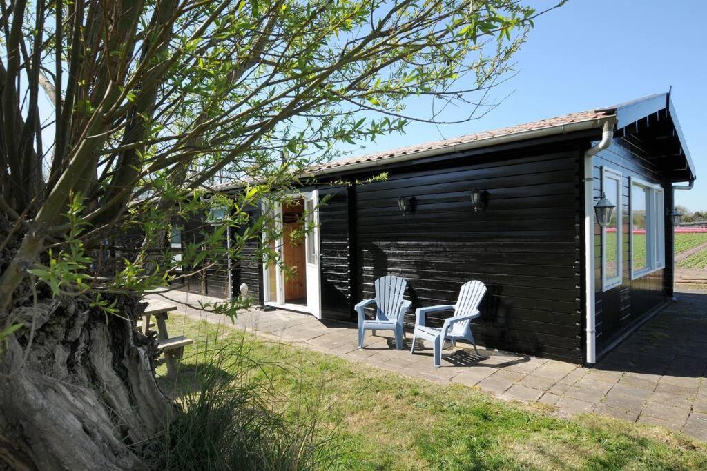 Chalet Egmond Egmond aan den Hoef Eksteriør bilde